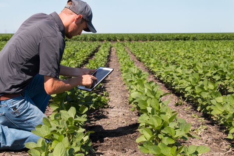 Farm Accounting
